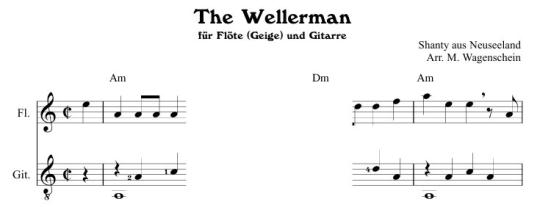 The Wellerman - Flöte + Gitarre 