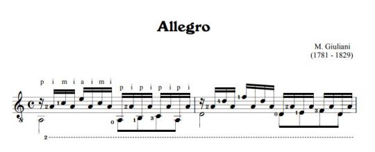 Giuliani, Allegro - Gitarre 